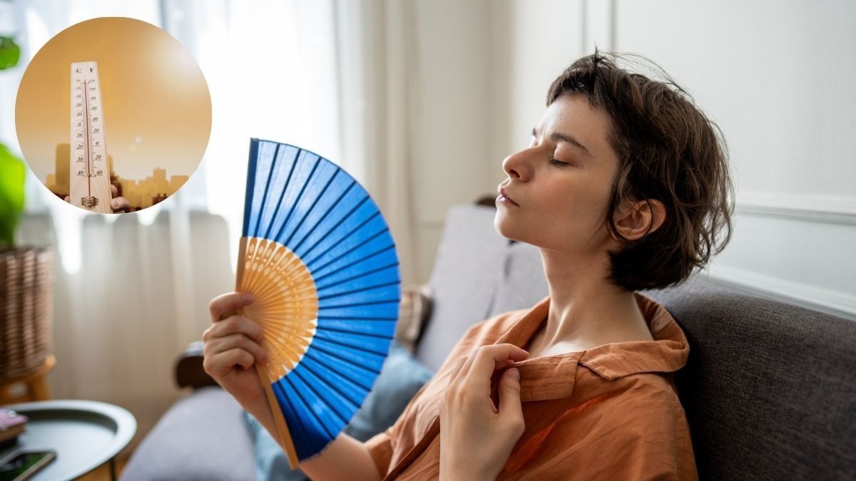 India’s Power Demand Hits 256GW As AC Use Rises Amid 47°C; Delhi Doctors Share Health Tips