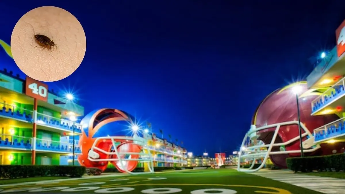 Guest File ₹47 Lakh Lawsuit Against Disney World Resort In Florida For Bed Bug Infestation