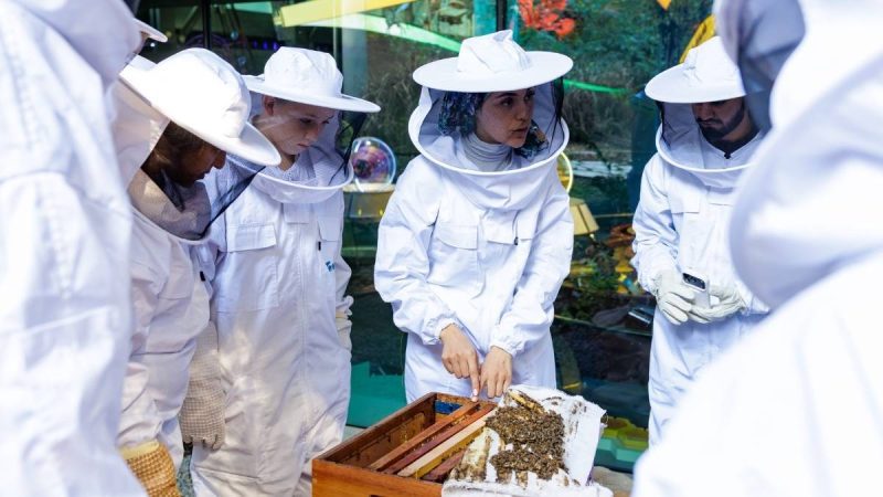 Expo City Dubai’s Terra Unveils 1-Year Nature Membership With Workshops, Expert Sessions & More