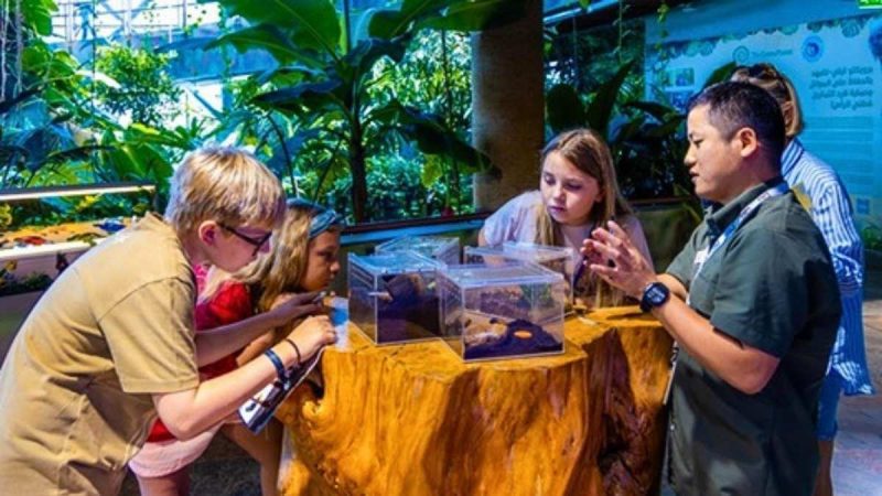 Dubai’s Indoor Rainforest Hosts Earth Day Week For Families Activities And Wildlife Encounters
