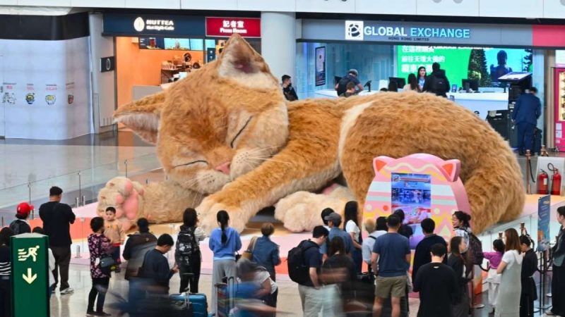 Hong Kong International Airport Has A Purr-fect Surprise Waiting For You!