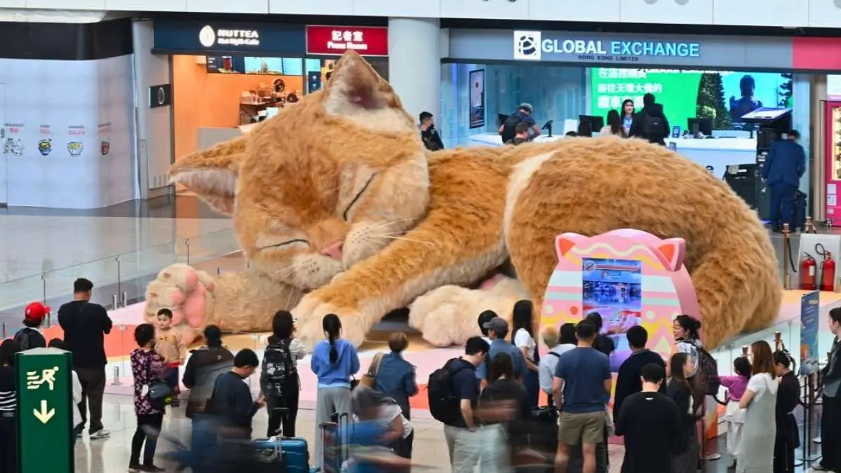 Hong Kong International Airport Has A Purr-fect Surprise Waiting For You!