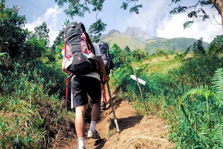Kedarnath Yatra Trek