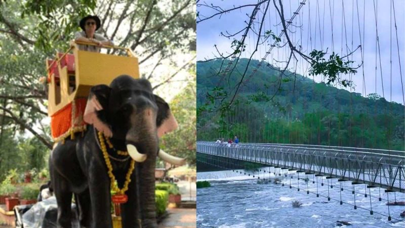 India’s 1st PETA-Awarded Mechanical Elephant Safaris Are At Thumboormozhi Butterfly Park In Kerala