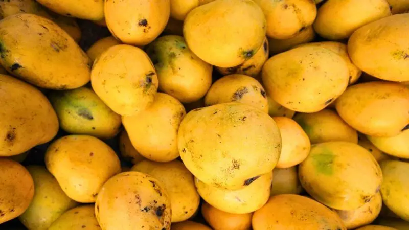 Hyderabad Police Seizes 200 Kg Of Artificially Ripened Mangoes; 5 Ways To Check Fruit Purity