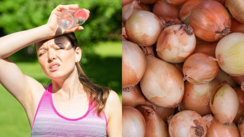 Can Keeping An Onion In Your Pocket Protect You From Heatwaves? All About Jyotiraditya Scindia’s Hack