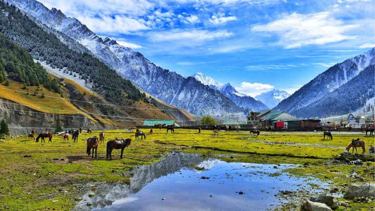 Pahalgam’s Baisaran Meadows To Get Road Connectivity; Aims To Improve Access
