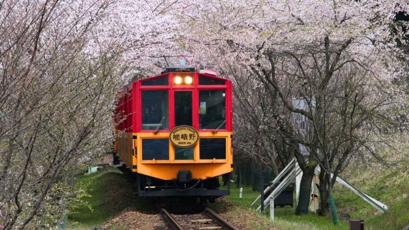 With Cherry Blossoms & Lush Forests, This 6.4 Km Train Ride In Japan Is The Most Beautiful In The World