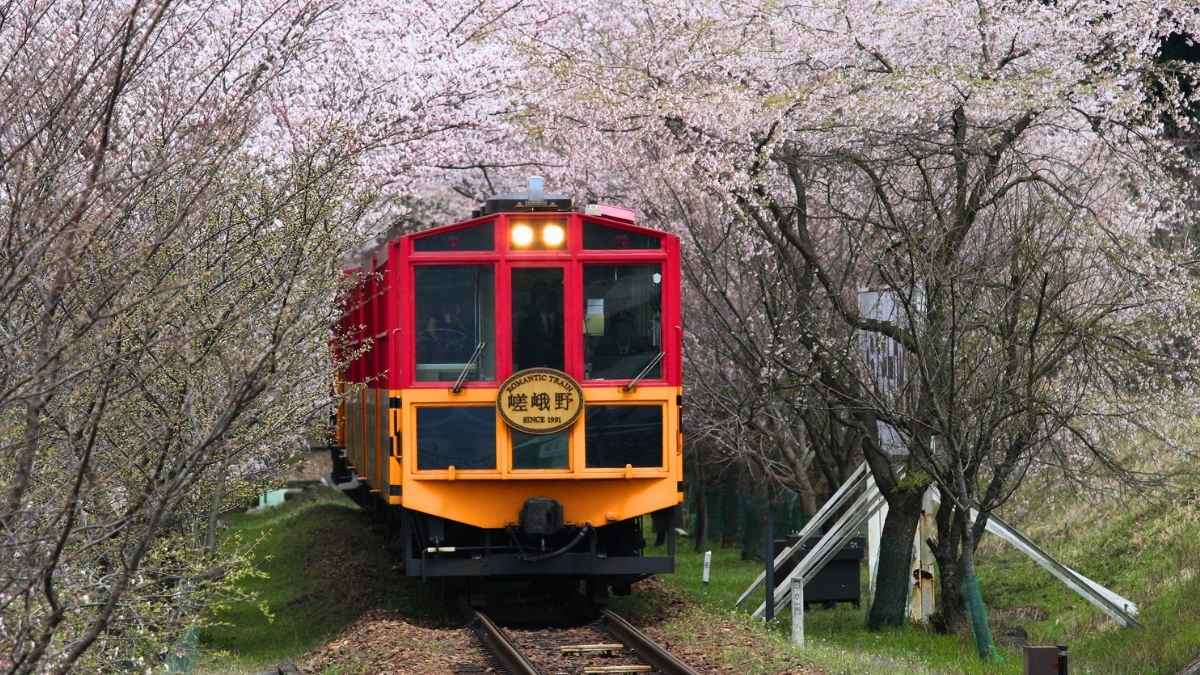 With Cherry Blossoms & Lush Forests, This 6.4 Km Train Ride In Japan Is The Most Beautiful In The World