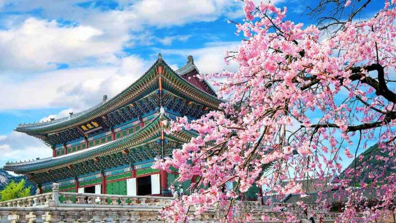 Planning To Visit South Korea? You Can Save Big On Flights, Trains, Stays, Here’s How!
