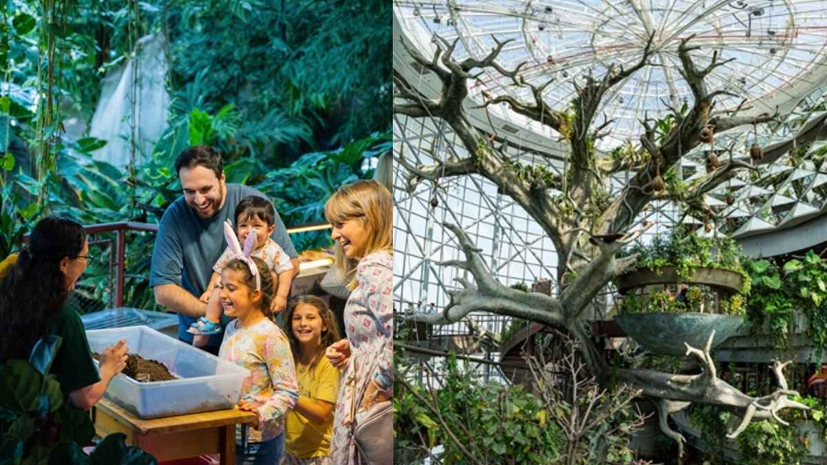 From Rainbow Egg Hunt To Live Shows, Celebrate A Nature-Led Easter At The Green Planet Dubai