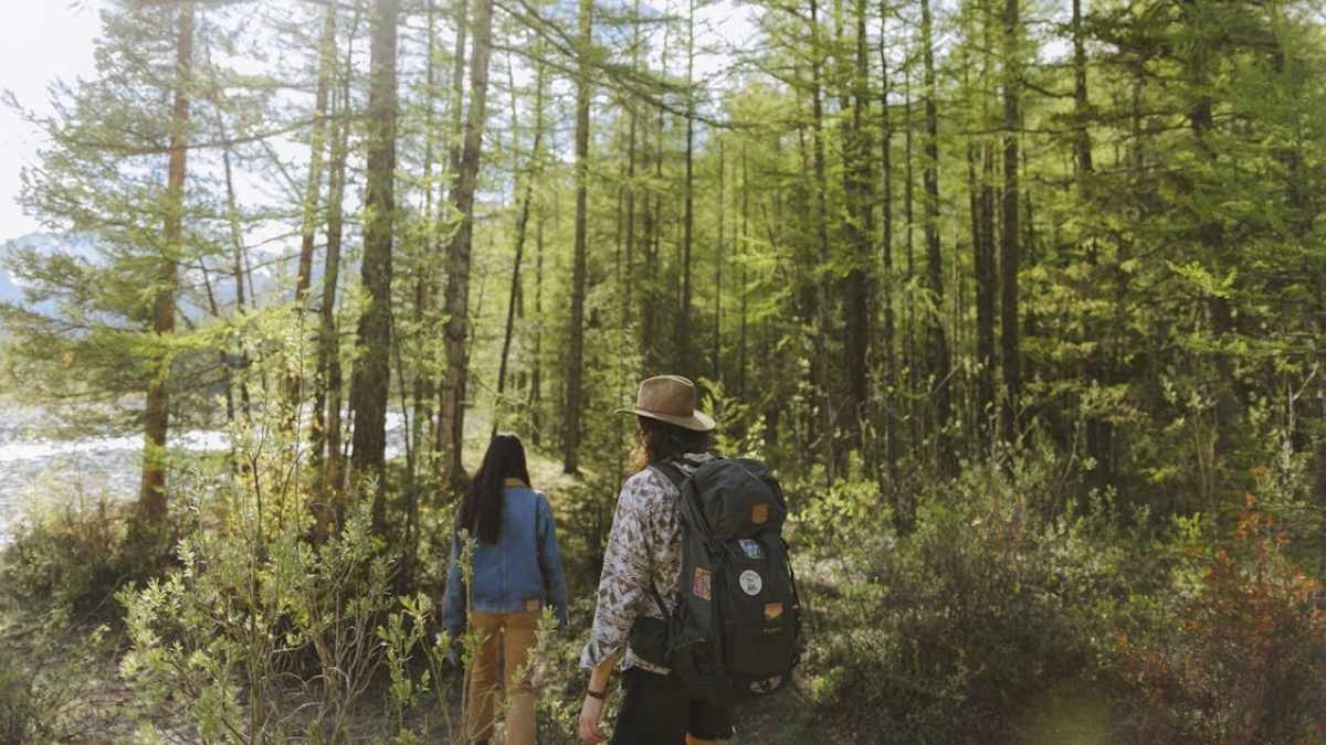 2026 Trends: Nature Trips Top Choices
