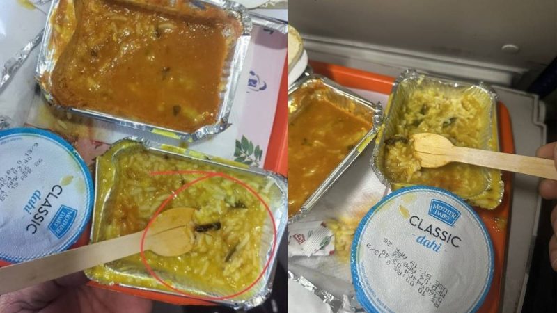 Vande Bharat Passenger Finds Insect In Food; IRCTC Imposes ₹10 Lakh Fine On Vendor