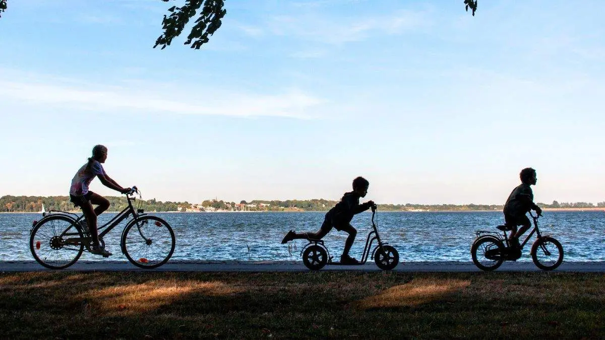 Delhi To Get One Of India’s Longest Riverfront Cycle Track With Docking Stations, Rest Areas & More