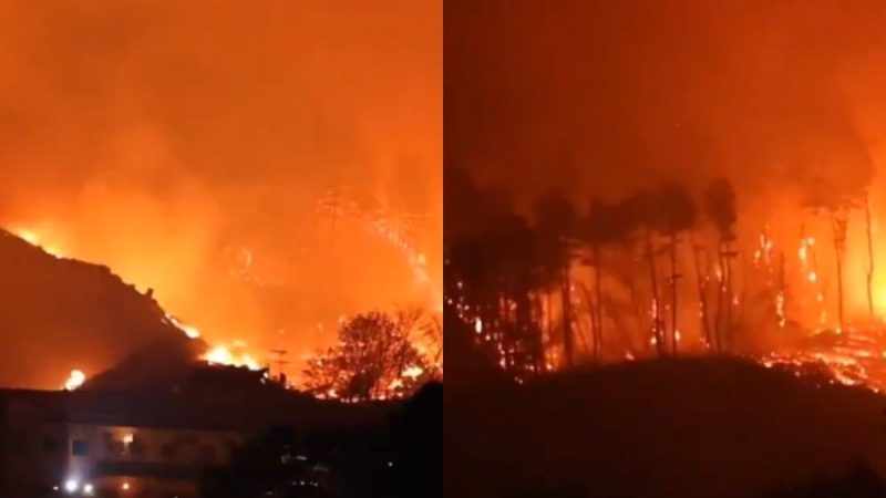 Japan Wildfires: 2,500 Residents Evacuated As Blaze Burned Over 988 Acres In Iwate Region