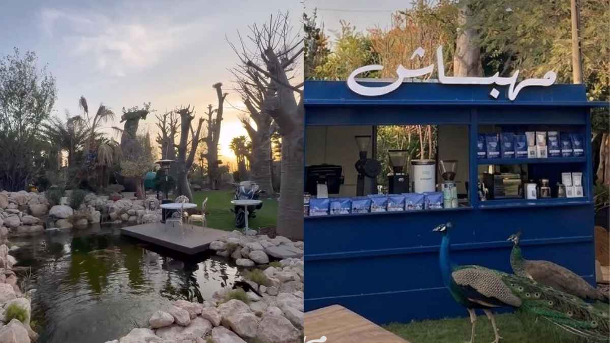 Dubai: This Hidden Gem Offers A Lush Escape With A Slice Of Tranquillity In The Buzzing City