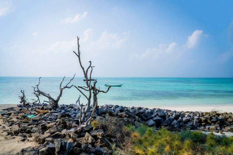 honeymoon destinations india