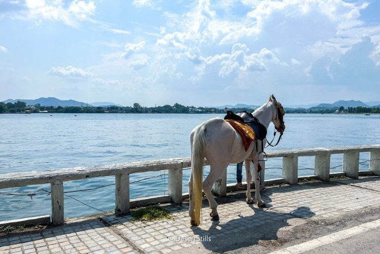 things to do udaipur