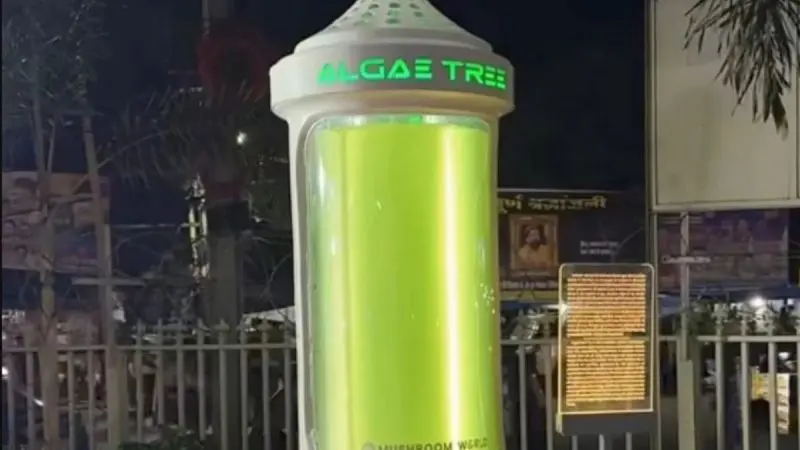 What Is India’s First ‘Algae Tree’ Installed In Bhopal & How Does It Help Reduce Air Pollution?