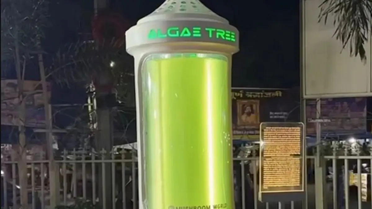 What Is India’s First ‘Algae Tree’ Installed In Bhopal & How Does It Help Reduce Air Pollution?