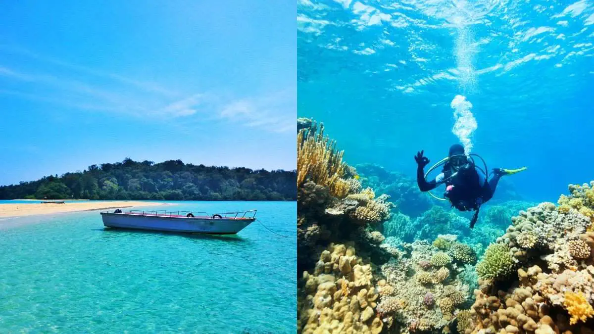 Scuba Divers, This Is For You! Andaman Islands Unveil 4 New Diving Spots In Diglipur