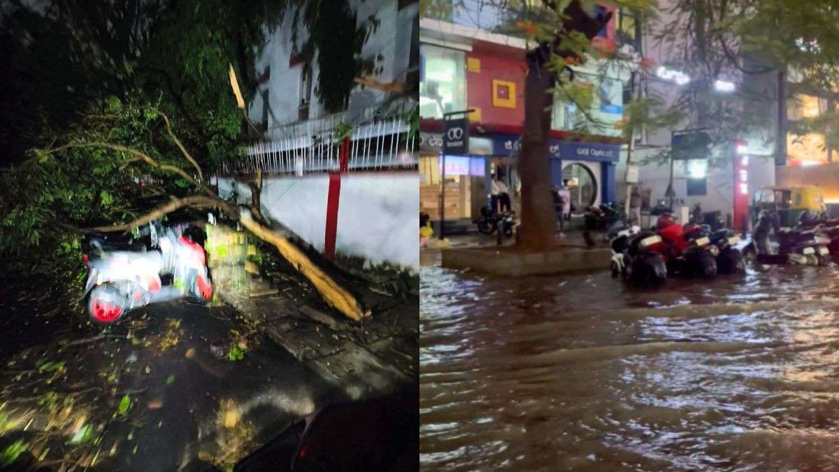 Bengaluru Weather: Heavy Rain Uproots Trees, Floods Roads, Disrupts Metro Amid Yellow Alert