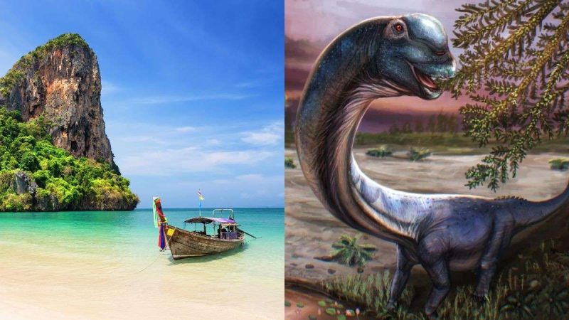 Remains Of Southeast Asia’s Largest Dinosaur Known For Long Neck & Limbs, Discovered In Thailand