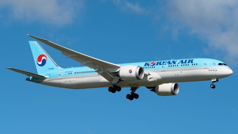 Korean Air Jet Makes Mid-Air Go-Around After Turbulent Approach To Tokyo Airport