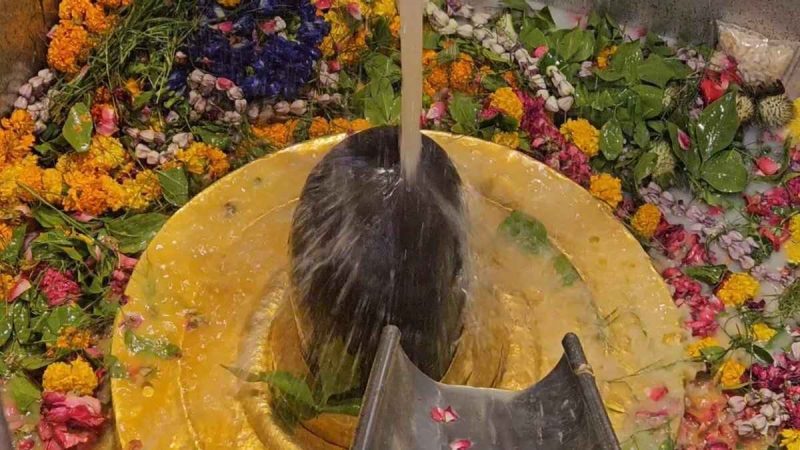 Why Is Shivling At Kashi Temple Offered Fresh Fruit Juice Abhishekam During Nautapa?
