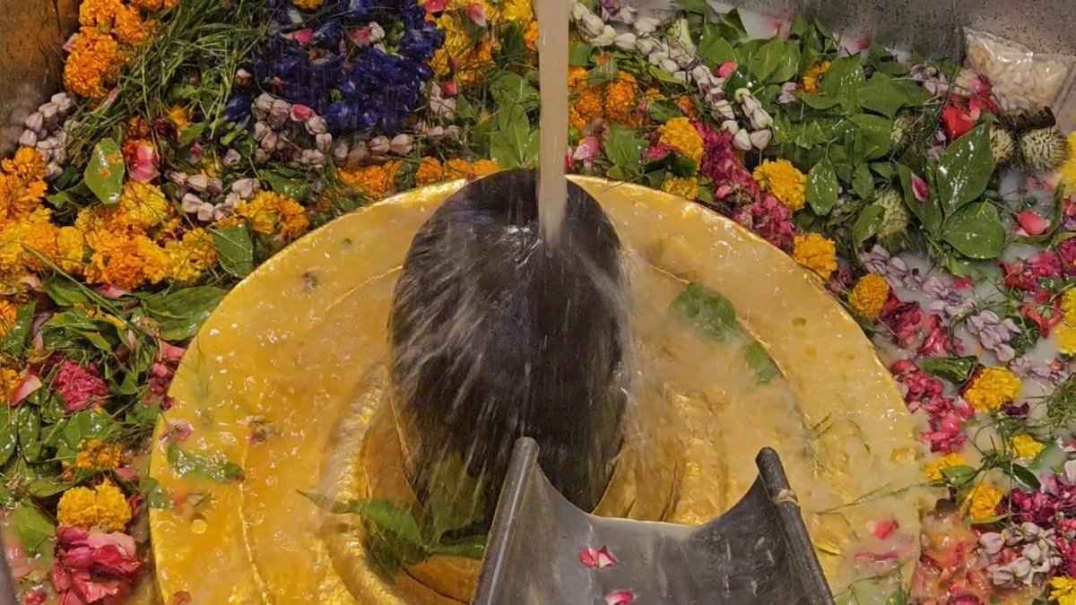 Why Is Shivling At Kashi Temple Offered Fresh Fruit Juice Abhishekam During Nautapa?