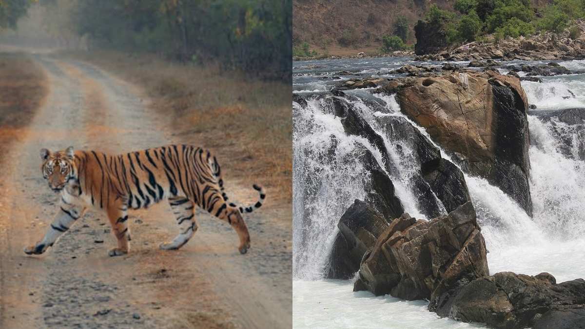 9 Reasons Why Madhya Pradesh Is India’s Most Underrated Slow Travel Destination