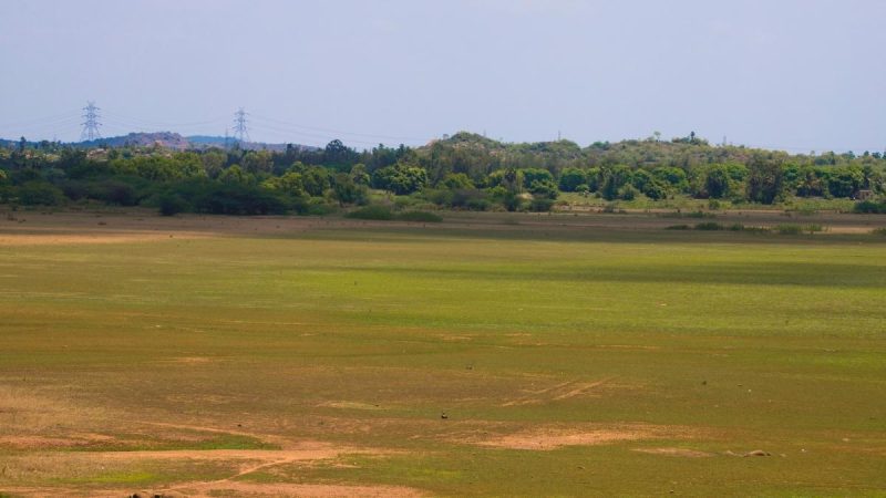 Is Mumbai Going To Lose 2 Gardens And A Football Field? Inside BMC’s Proposed Plan
