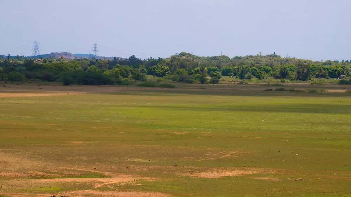 Is Mumbai Going To Lose 2 Gardens And A Football Field? Inside BMC’s Proposed Plan
