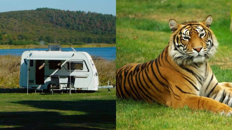 Eco-Friendly Caravan Parks To Arrive At 7 Wildlife Spots In Odisha; What Tourists Must Know!