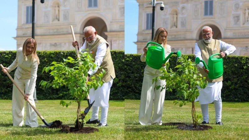 What Is ‘Ek Ped Maa Ke Naam’, The Green Initiative Highlighted By PM Modi & Meloni In Rome?
