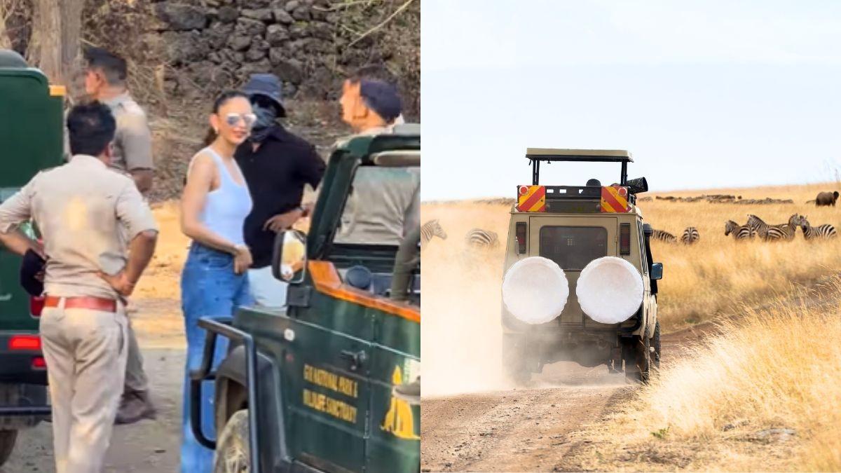 Did Rakul Preet Singh Break Safari Rules At Gir National Park? Can Tourists Step Out Of Safari Vehicles?