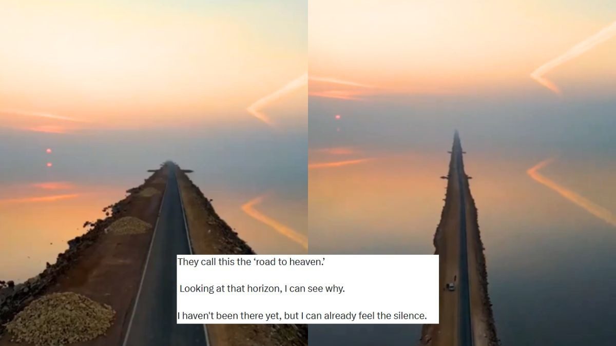 Anand Mahindra Impressed By ‘Road To Heaven’, 30 Km Heavenly Stretch In Gujarat; Here’s Why
