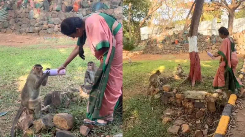 “Kindness Costs Nothing,” Anupamaa’s Rupali Ganguly Feeds Thirsty Monkeys On Set, Wins Hearts