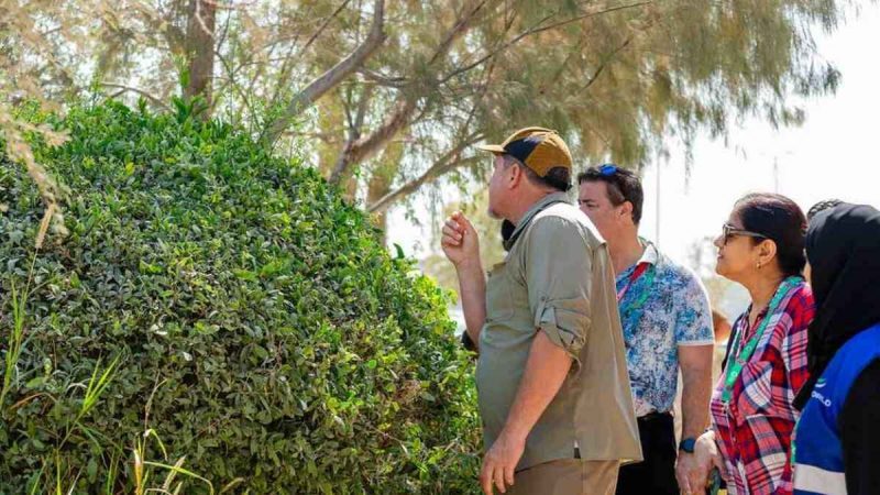 Terra’s New UAE Project Wants Teens To Save Family Nature Traditions & Document Plant Heritage