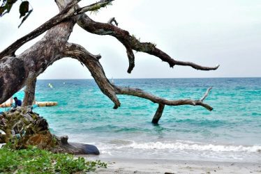 affordable islands
