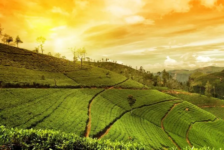 bali india