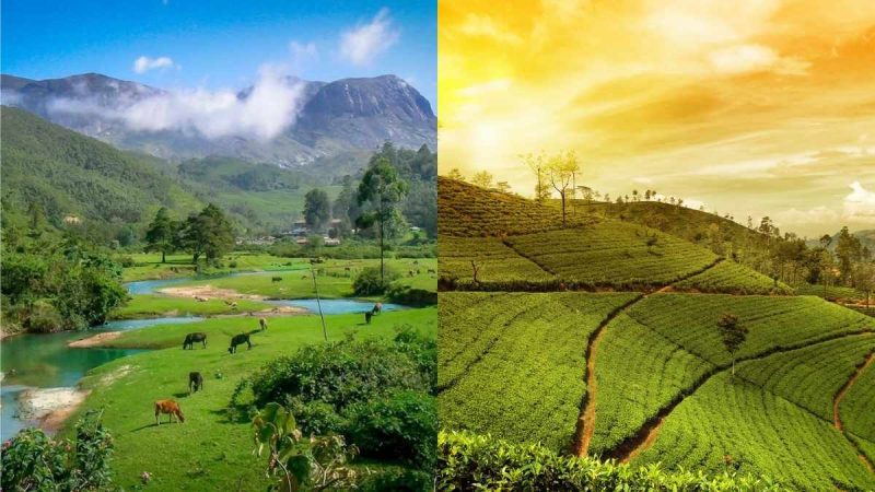 Want Bali’s Rice Terrace Vibes? These 8 Indian Destinations Deliver The Same Magic