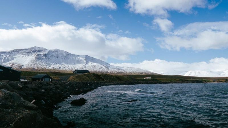 Iceland Is No Longer Mosquito-Free & Scientists Say Climate Change Is The Reason!