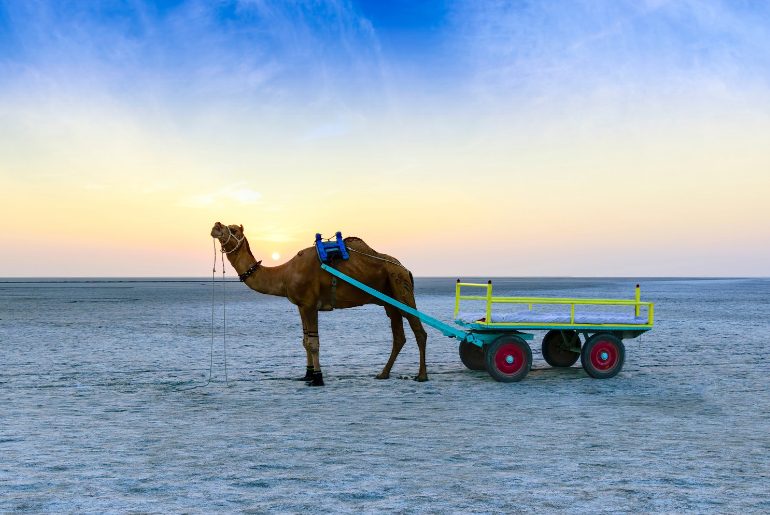 indian deserts
