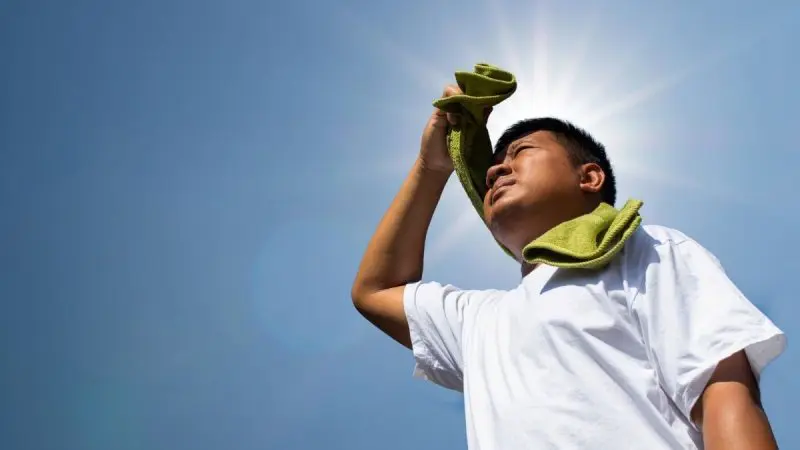 Nautapa 2026: Why Does Astrology Consider This Extreme Summer Heat Period Significant?