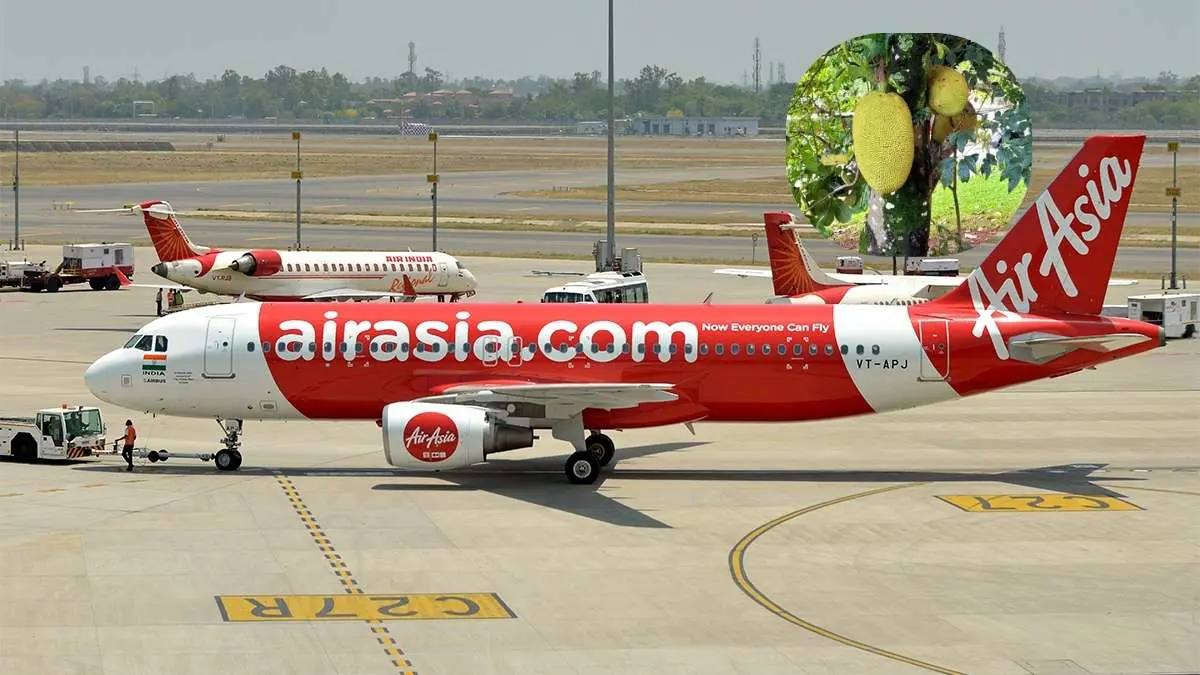 AirAsia To Pay ₹90,750 To Farmer After Rare Jackfruit Sapling Gets Damaged Due To Flight Delay