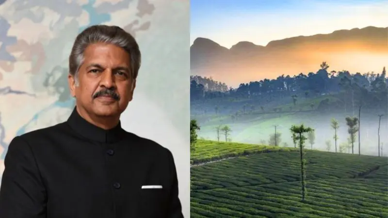 Not Ooty Or Munnar, Anand Mahindra Praises THIS Hidden Hill Town In Tamil Nadu