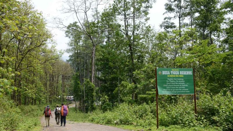 Buxa Tiger Reserve Closed Till September 15: New Travel Restrictions Explained