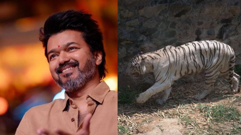 CM Vijay tamil nadu Zoo