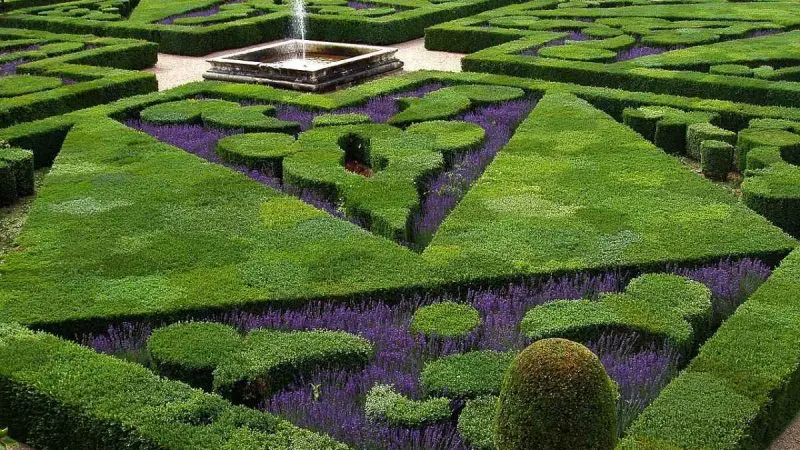 Uttarakhand Has A 3-B Garden Designed For Bees, Birds & Butterflies, And It’s At The Circuit House